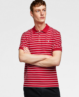 Basic Striped Polo Shirt